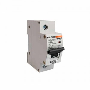 Breaker Ebc Riel 1X80A 230V 10KA C