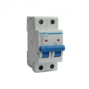 Breaker Chint Riel 2X4A 230/400V 6KA C IEC