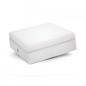 Panel Led 24W 6500K Cuadrado Sobreponer Sin Borde